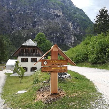 Organic Tourist Farm Pri Plajerju Apartment Trenta Exterior photo