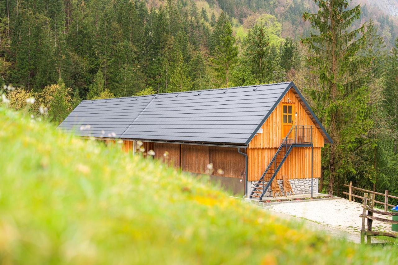 Organic Tourist Farm Pri Plajerju Apartment Trenta Exterior photo